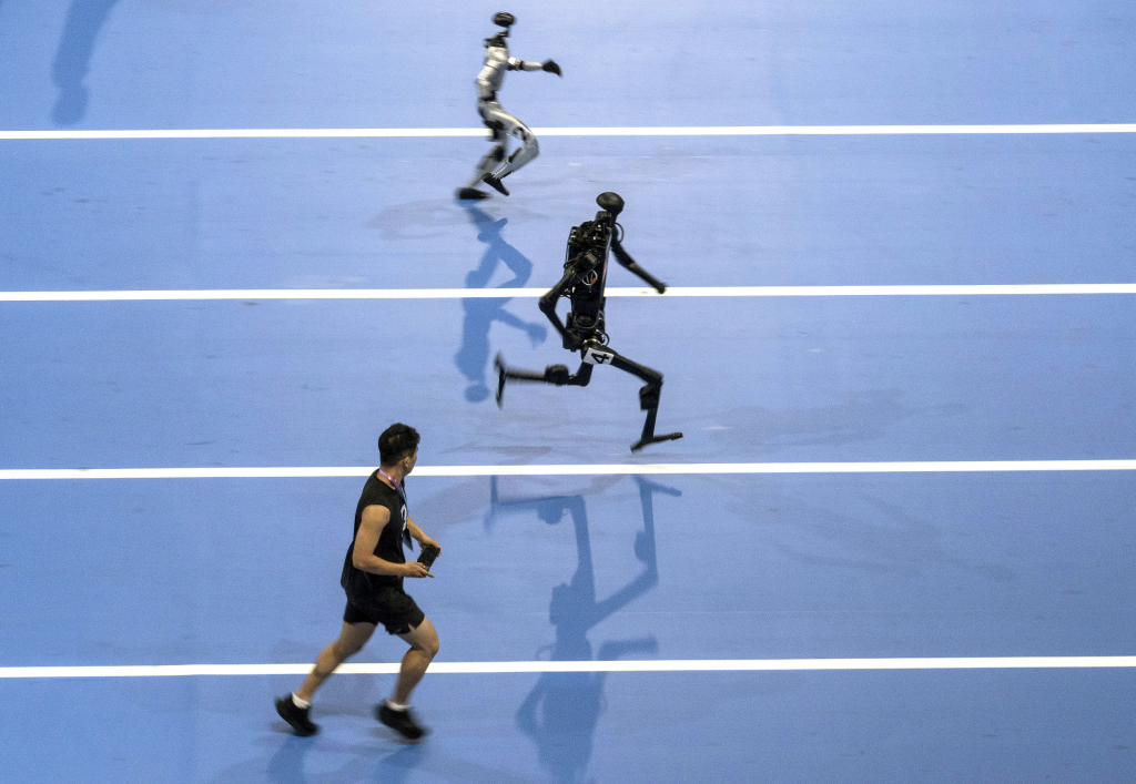 人巡游场馆 人巡游场馆